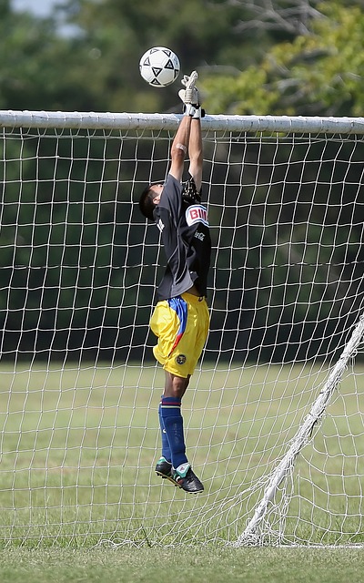 但也公平得 但也公平得