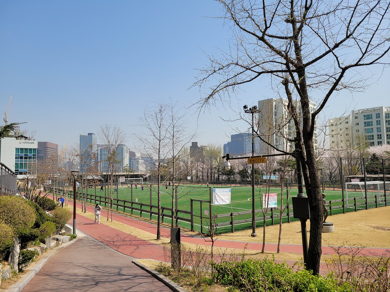 世界冠军 世界冠军