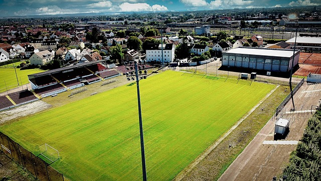 上重新绽放 上重新绽放